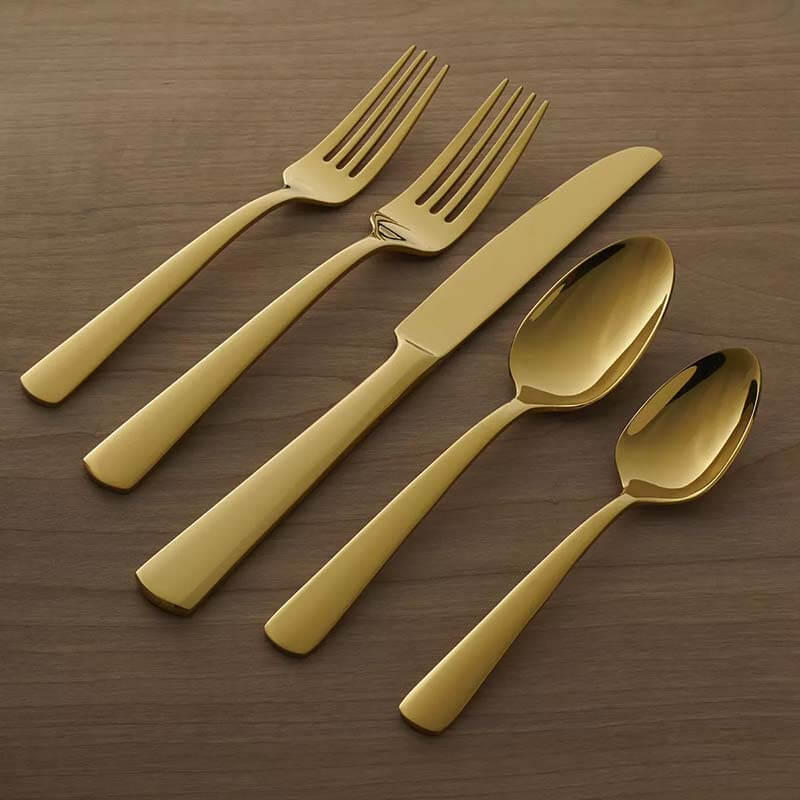 Oneida Aptitude Gold 20 piece, Service for 4 - B1024020AL20