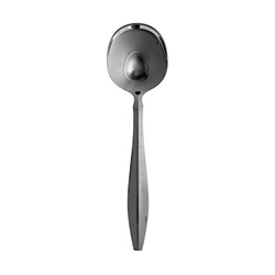 Oneida Fascia Sugar Spoon Sugar shell