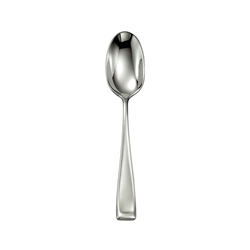 Oneida Moda Teaspoon 