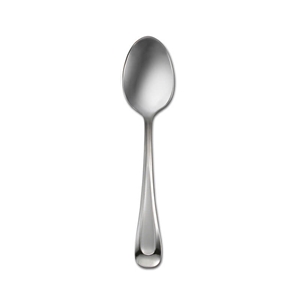 Oneida Satin Sand Dune Teaspoon